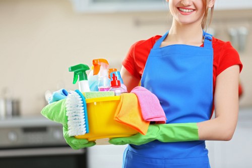 Carpet cleaning quote discussion for a home interior
