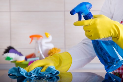 Barnes Carpet Cleaners professional carpet cleaning overview