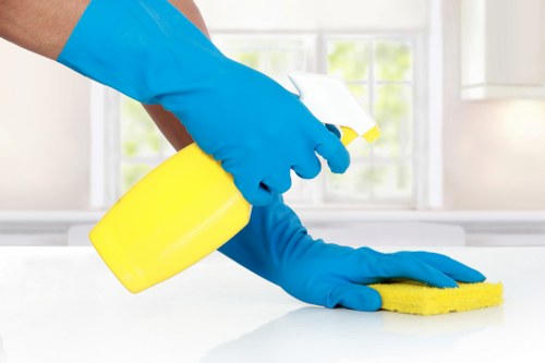 Upholstery cleaning service in Barnes treating a fabric sofa