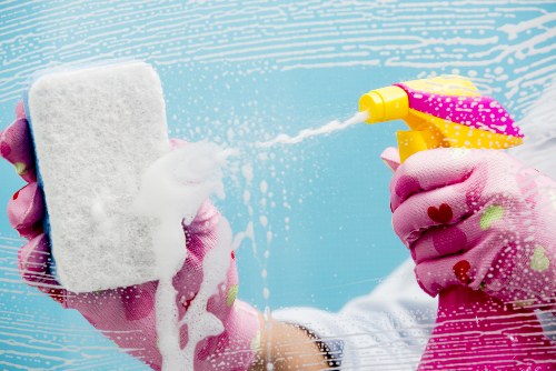 Home carpet cleaning equipment for stubborn pet odours in Barnes