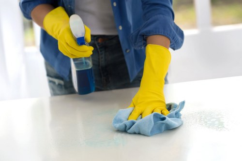 Risk assessment and preparation before carpet cleaning begins